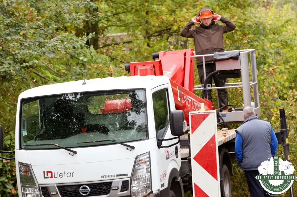 Travaux forestier à Ressaix