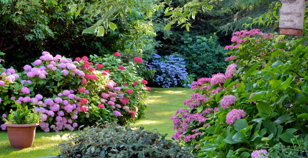 Création de jardin à Ressaix