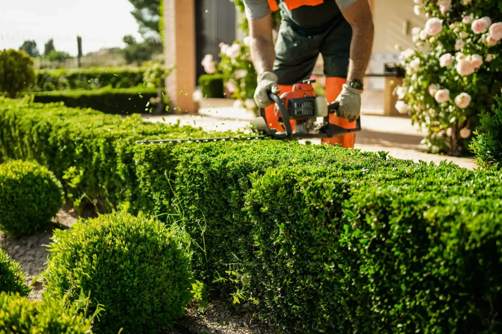 Entretien de jardin à Ressaix