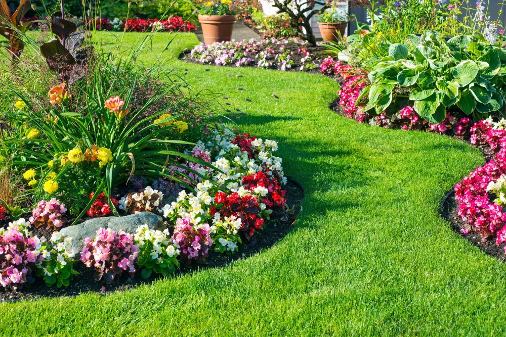 jardin (2)